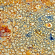 Image for article titled Shooting Challenge: Oil on Water